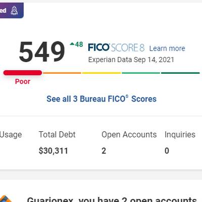 Our Portfolio