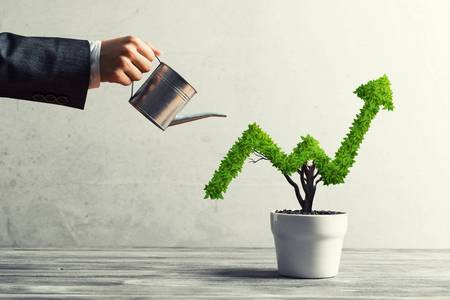 Asesoría Financiera